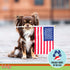 Licks Pill-Free Omega 3 Dog Allergy Relief for Small Breed - Vitamins & Supplements for Itch Relief - Gel Packets, 10