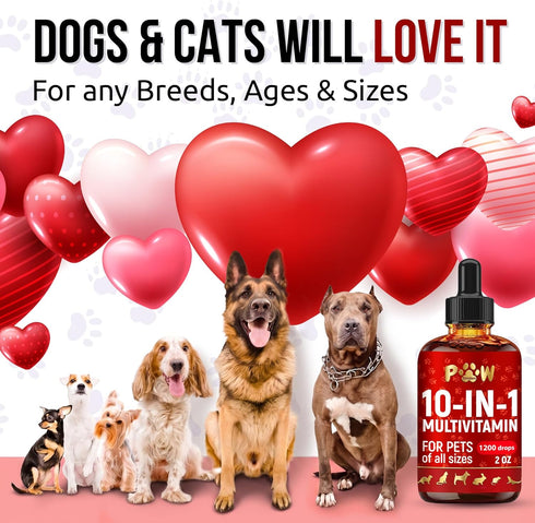 D3 2 oz Liquid Multivitamin for Dogs with Glucosamine Help with Allergies & UTIs Dog Vitamins and Supplements Cat