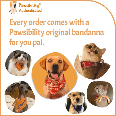 Recommended Trimming Pawsibility - Reinvented Pet Nail Clippers for Your Pal - USB Rechargeable LED Light for Bloodline