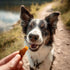 1 Pet 'n Shape Sweet Potato Chews Jerky Dog Treats - Pound
