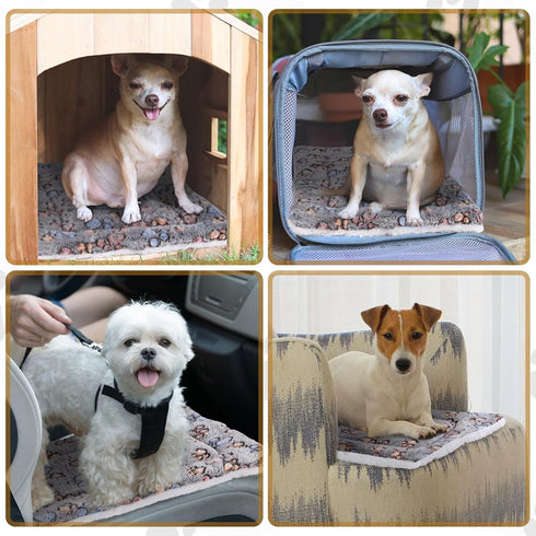 4 Pack Ultra Soft Dog Cat Bed Mat with Cute Prints, Cozy Washable Thickened Pet Bed Mat for Small Animals