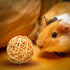 8 Pcs Small Animals Play Balls - Rolling Activity Chew Toys for Rabbits Guinea Pigs Chinchilla Bunny Natural Balls