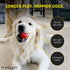Playology Squeaky Chew Ball for Dogs - Engaging All Natural Beef Scented Dog Toy for Medium and Large Dogs (10lbs & up), Value 2-Pack - Squeak, Bounce, Fetch, and Play!