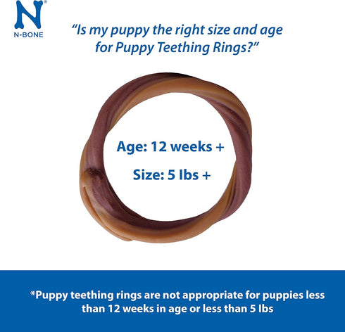 N-Bone Puppy Teething Ring - Pumpkin Flavor, 3.6 Oz, 3 Rings
