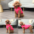 2 Layers Fleece Lined Warm Dog Jacket for Winter - Soft Windproof Small Dog Coat, Pink S