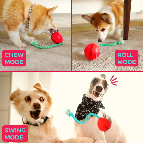 Fossa Interactive Dog Toys, Puzzle Treat Dispenser with Rope for Reducing Boredom and Anxiety