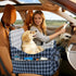 COZEER 35lbs, 4-Pocket Dog Car Seat for Small/Medium Dogs up to Storage Memory Foam Dog Booster Seat, Detachable