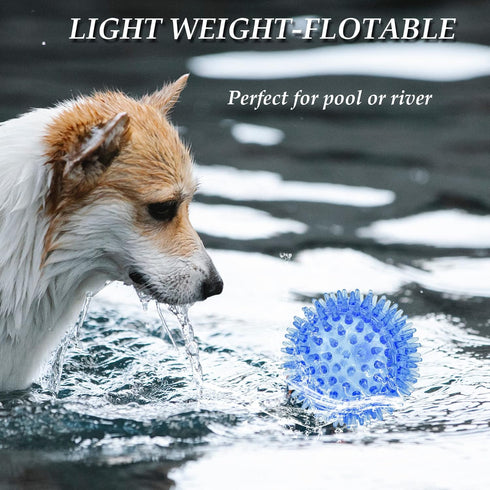 6PACK Squeaky Dog Toys, Spiky Dog Balls for Dental Health, Squeaker Ball Toys for Aggressive Chewers (S 6PACK)