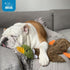Best Pet Supplies Stuffing Free Squeaky Dog Toys for Small, Medium, and Large Dogs, Durable Chew Toy for Teething Puppy