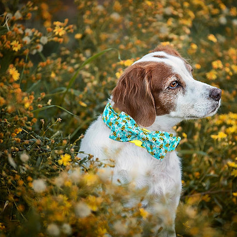 Elegant Blue Bees Print Dog Collar with Bow Tie, Summer Collar for Small Medium Large Dogs