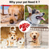 Dog Chew Toys, Interactive Dog Toys for Aggressive Chewers, Indestructible Dog Toys for Medium/Large Dogs, Great Gift for Pet