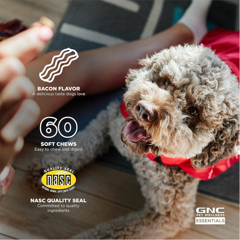 GNC Pets Essentials Digestion Supplements for Dogs, 60ct Soft Chews Bacon Flavor in 12oz Reusable Container