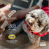 GNC Pets Essentials Digestion Supplements for Dogs, 60ct Soft Chews Bacon Flavor in 12oz Reusable Container