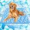 Rywell Super-Absorbent Cooling Mat for Dogs 44"x32" Arc-Chill 3.0 & Color-Changing Dog