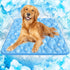 Rywell Super-Absorbent Cooling Mat for Dogs 44"x32" Arc-Chill 3.0 & Color-Changing Dog
