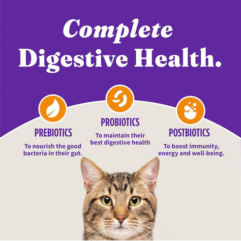 Halo Holistic Cat Food Dry, Cage-free Chicken Recipe, Complete Digestive Health, Adult Formula, 6-lb Bag