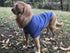 Lovelonglong Dog Pullover Sweatshirt for Autumn Winter Cold Weather T-Shirts for Small Medium Large Dogs (Golden