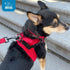 Best Pet Supplies Voyager Dog Collar with Safety Clip and Dual Clasps, No Pull Harness Connectors for Training