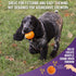 Chew King 2.5 Inch Bacon Flavor Rubber Balls, 3 Pack for Large Breeds