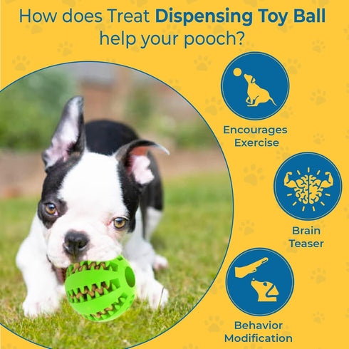 SunGrow 2-Pack Dog Treat Balls, Interactive Puzzle Food Dispensers for Small Dog Training, Mental Stimulation