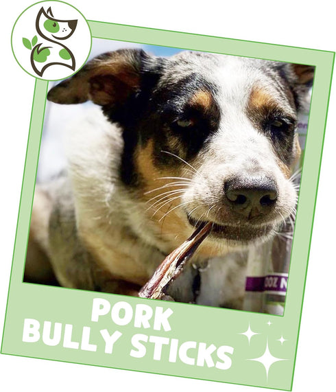 Nature Gnaws Extra Thin Pork Bully Sticks for Small Dogs 5-6" (15 Count) - Long Lasting for Light Chewers and Puppies