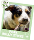 Nature Gnaws Extra Thin Pork Bully Sticks for Small Dogs 5-6" (15 Count) - Long Lasting for Light Chewers and Puppies