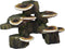 Penn-Plax Deco-Replicas Tree Trunk with Shelf Mushrooms Aquarium Decoration – Safe for Freshwater and Saltwater Fish