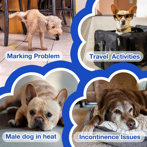 50Counts) MICOOYO Dog Diapers Male Disposable Super Absorbent Male Dog Wraps Lighter Dogs Diaper Leakproof Puppy