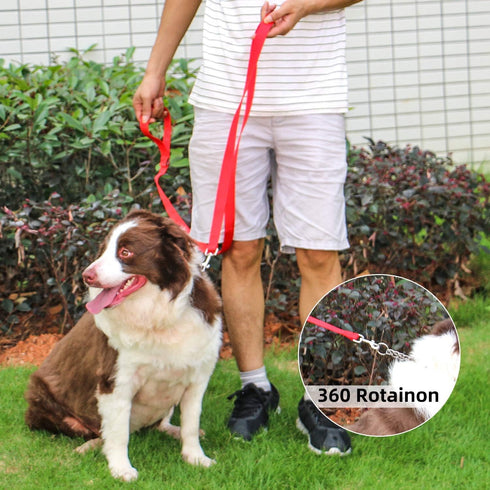 AMAGOOD 6 FT Puppy/Dog Leash, Strong and Durable Traditional Style Leash with Easy to Use Collar Hook,Dog Lead Great for Small and Medium and Large Dog (1 in x 6 ft(Pack of 1), Red)