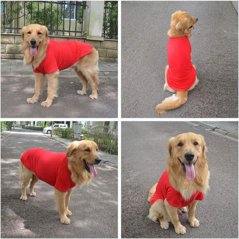 Lovelonglong Pet Clothing Dog Costumes Basic Blank T-Shirt Tee Shirts for Small Dogs, Red S