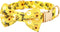 Beirui Soft Comfy Dog Bow Tie Collar with Multicolor Patterns, Cute Collars with Metal Buckle for Small Medium Large