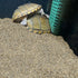 5 lbs Aquarium Sand, 0.6-1.2 mm Substrate for Freshwater Fish Tank, Decorative Gravel for Plants, Fire Pits, Crafts