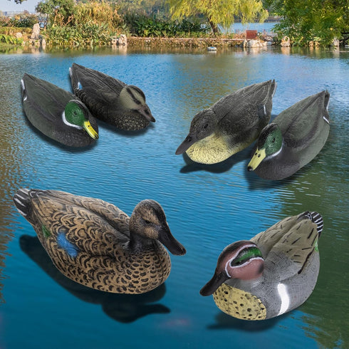Realistic Mallard Duck Models as Decoys and Ornaments Loved by Hunting Enthusiasts