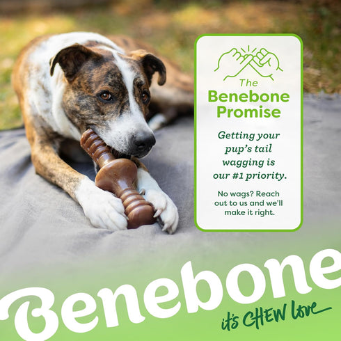 Benebone Zaggler Rolling Dog Chew Toy for Aggressive Chewers, Small, Real Bacon, Made in USA