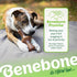 Benebone Zaggler Rolling Dog Chew Toy for Aggressive Chewers, Small, Real Bacon, Made in USA