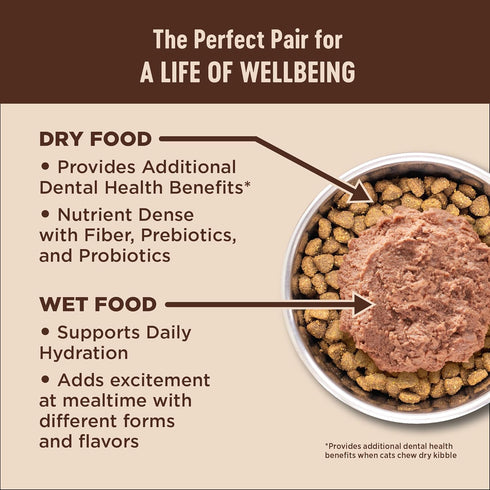 Wellness CORE+ Natural Grain-Free High Protein Adult Dry Cat Food, Salmon and Herring Meal, Indoor Recipe, 11 Pound Bag
