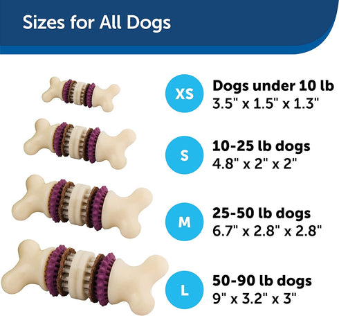 PetSafe Busy Buddy Bristle Bone, Treat-Holding Toy for Dogs with Treat Rings Included, Purple, Small