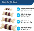 PetSafe Busy Buddy Bristle Bone, Treat-Holding Toy for Dogs, Treat Rings Included, Purple, Medium