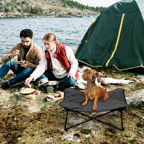 Elevated Dog Bed - Portable Raised Cot for Indoor & Outdoor, Comfortable Padded Filling, 28x28x8inch, Carrying Bag