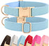 PET ARTIST Soft Leather Dog Collar, Heavy Duty Adjustable Nylon Collar with Quick Release Buckle, Blue, Neck Fit 9-14"