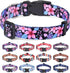 Dog Collar for Small Dogs, Soft Comfy Pet Collar, Floral Pattern for Boy Girl Puppy Dogs (Floral A, S)