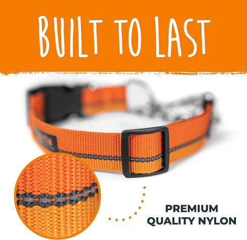 Mighty Paw Martingale Dog Collar 2.0 - Trainer Approved Limited Slip Collar with Heavy Duty Buckle, Large, Orange