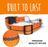 Mighty Paw Martingale Dog Collar 2.0 - Trainer Approved Limited Slip Collar with Heavy Duty Buckle, Large, Orange