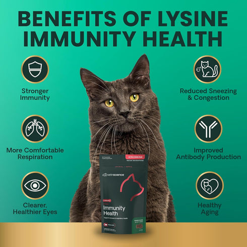Immunity 250 Immune 120 Count VetriScience Lysine Health Chews, mg Lysine Plus Supplement for Cats and Kittens