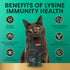 Immunity 250 Immune 120 Count VetriScience Lysine Health Chews, mg Lysine Plus Supplement for Cats and Kittens