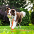 10ft Orange Long Waterproof Training Dog Leash, Easy Care Leash for Recall, Swimming, Camping, Beach, Hunting, Walking