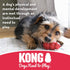 KONG Stuff-A-Ball - Durable Natural Rubber Dog Toy for Dental Health - Stuffable Toy for Small Dogs