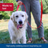 Coastal Pet Double-Ply Dog Leash - Nylon Walking Leash with Bolt Snap Attachment for Small, Medium & Large Dogs - Red -