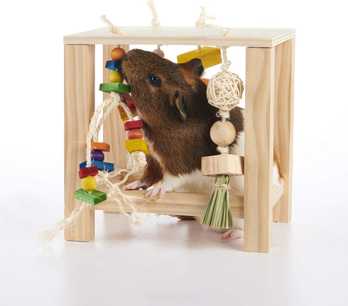 Chinchilla, Chinchilla Oxbow Enriched Life Play Table, Rabbit Toys, Guinea Pig Toys, Enrichment for Bunny, Guinea Pig
