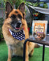 Dog Food Topper - Super Foods, Healthy Vegan Flavor Mix for Picky Eaters, Blueberries, Carrots, Spinach, Sweet Potato,